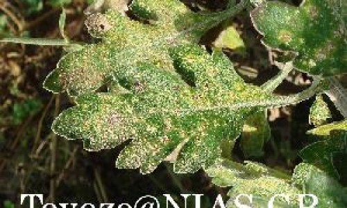 医生以往用药观念网医生以往用药观念怎么写知识网站,分享医生以往用药观念有哪些大全